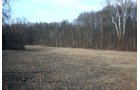 Property photo 9 - REAL ESTATE AUCTION - 84.5+/- ACRES IN 4 TRACTS IN WHITLEY COUNTY, INDIANA